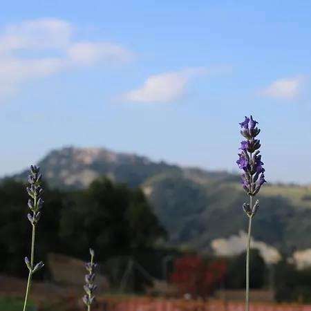 Casale Fontanile Bed and breakfast Smerillo